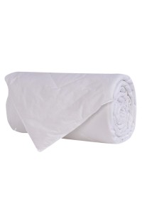 SKBD010 Air conditioning quilt summer cool quilt double single quilt Hotel quilt core hotel air conditioning quilt core hotel linen bedding front view